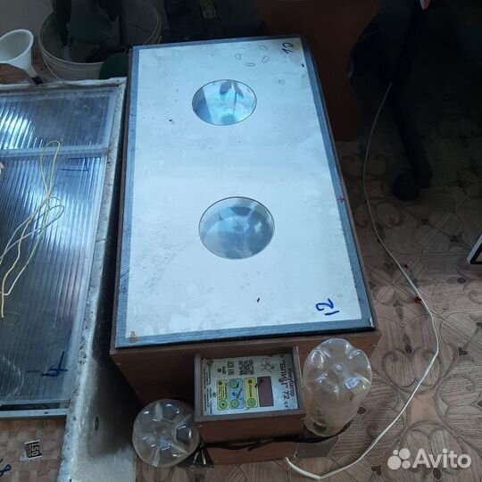 Инкубатор для яиц автоматический бу