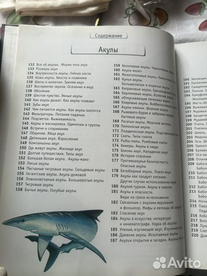 Энциклопедия животные