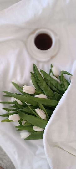 Квартира-студия, 27 м², 7/10 эт.