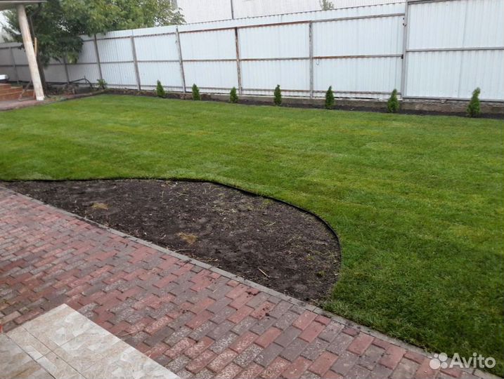 Рулонный газон