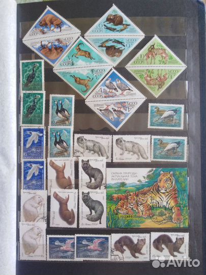 Космос,Животные,Растения