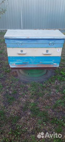 Продаются ульи с пчёлами