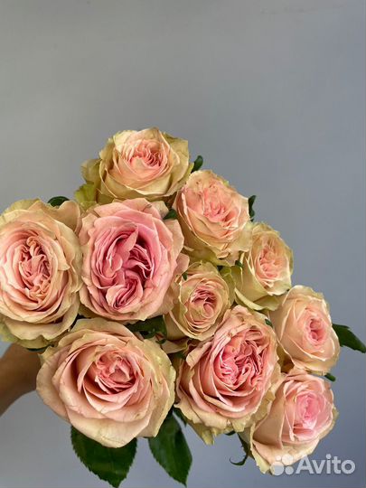 Цветы розы и букеты с доставкой