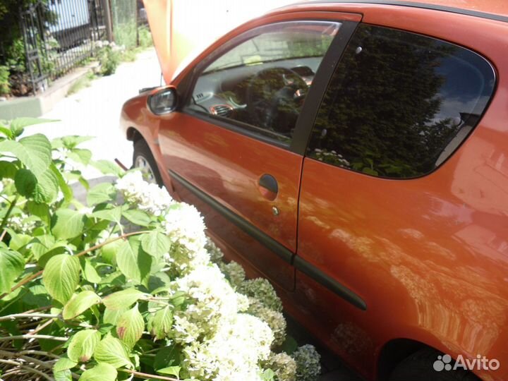 Двери Peugeot 206