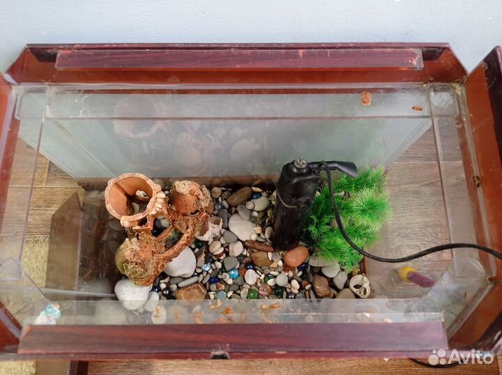 Аквариум