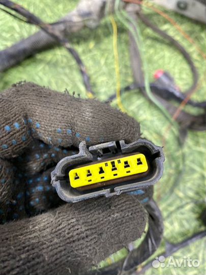 Проводка двс Ford Focus 1 седан 2.0 2002