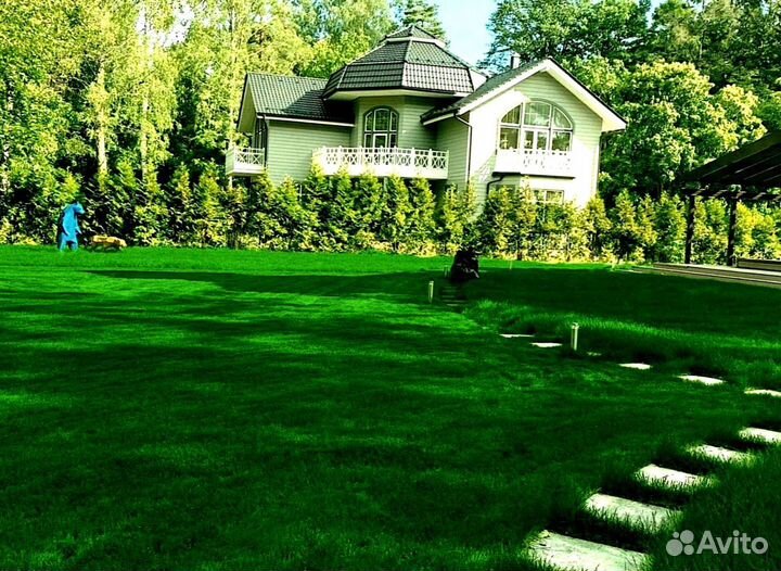 Рулонный газон