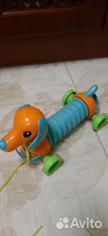 Собака гармошка