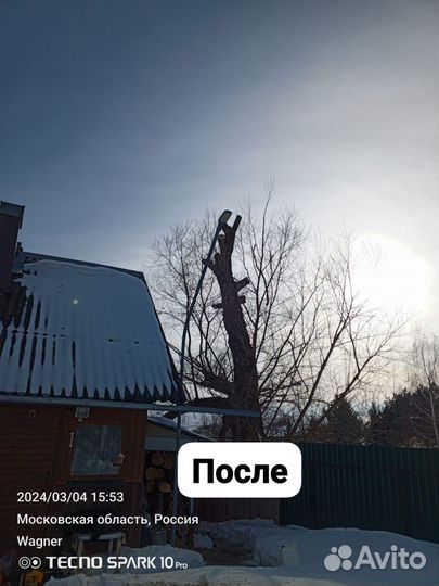 Демонтаж,Спил деревьев.Облагораживание территории