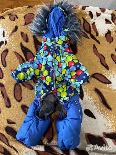 Зимний комбинезон утеплёный с капюшоном для собаки