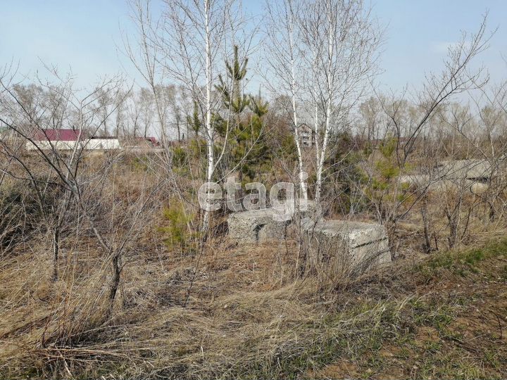 Участок 9,8 сот. (СНТ, ДНП)
