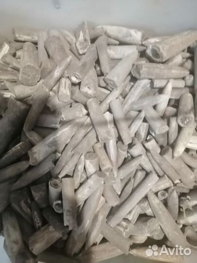 Белемниты чертовы пальцы