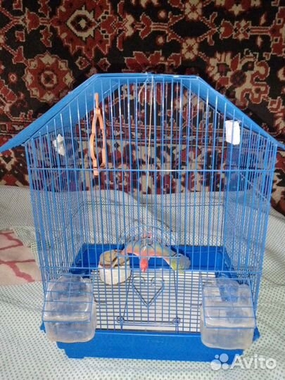 Клетка для птиц