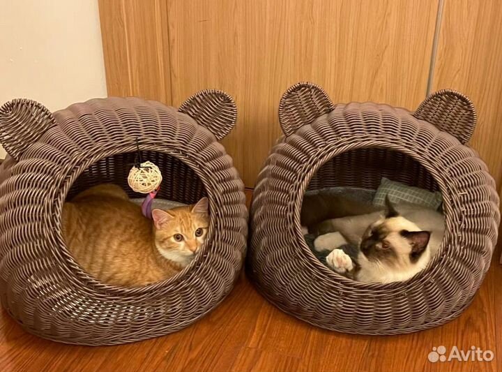 Домик для кота
