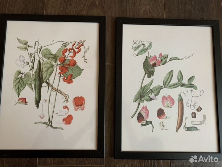 Постеры IKEA, постер