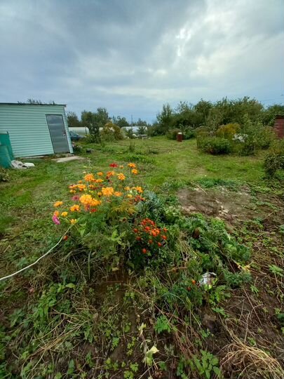 Участок 5 сот. (СНТ, ДНП)