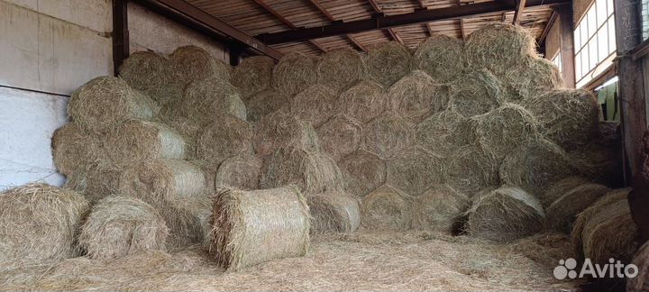 Продам сено в рулонах