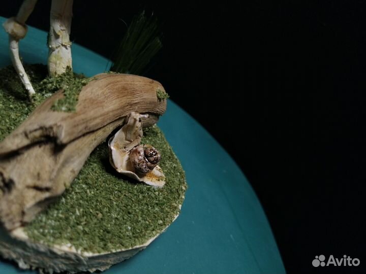 Улитка с мухомором