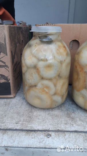 Грибы соленые грузди,рыжики,маслята,сухие белые