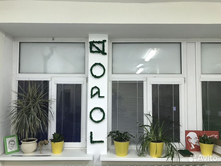 Логотипы буквы вывески надписи мох