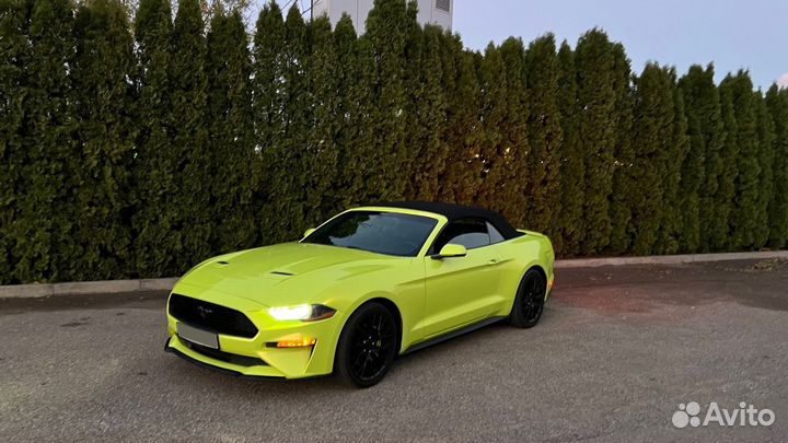 Ford Mustang 2.3 AT, 2019, 55 000 км