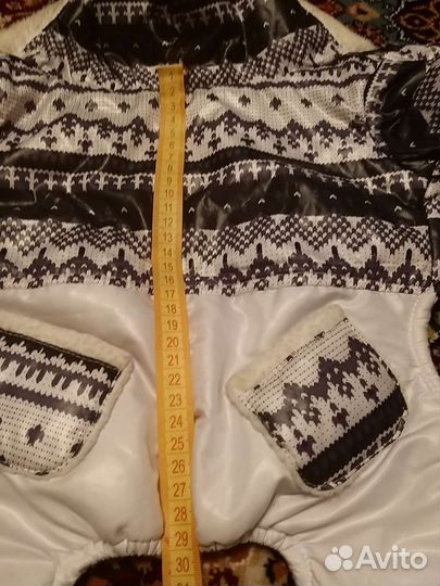 Костюм для собаки
