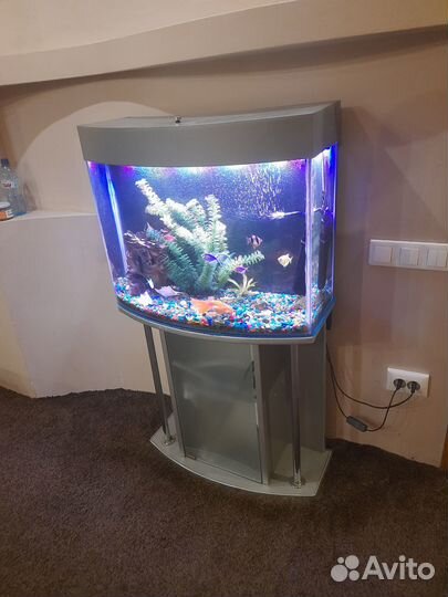 Аквариум панорамный с тумбой
