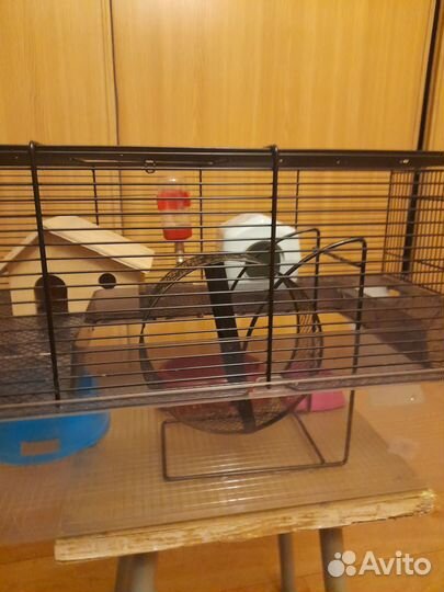 Клетка для грызунов большая