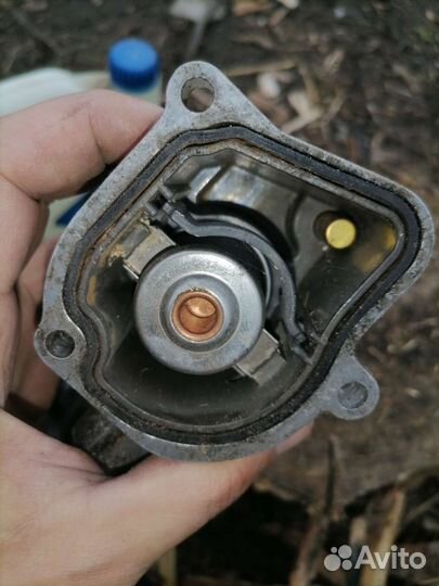 Термостат om 611