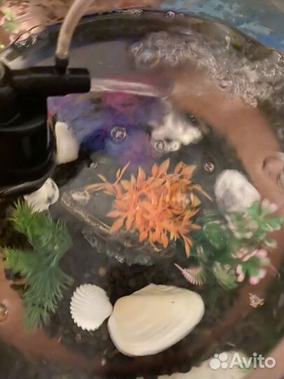 Аквариум с рыбками