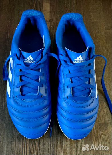 Детские футбольные бутсы Adidas Copa 36 сине-белые