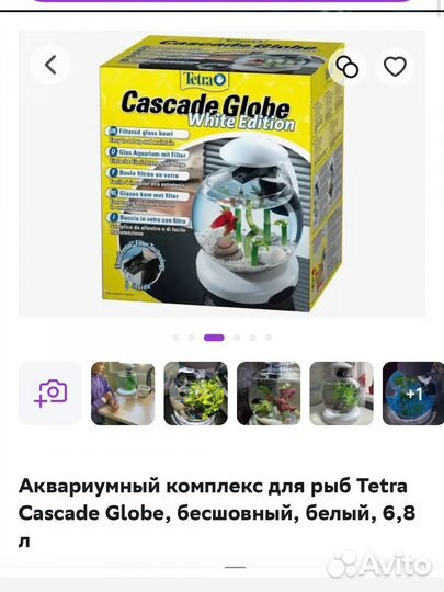 Аквариум с двумя рыбками