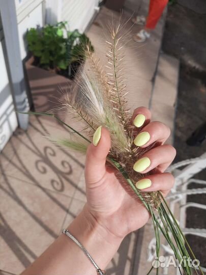 Маникюр педикюр