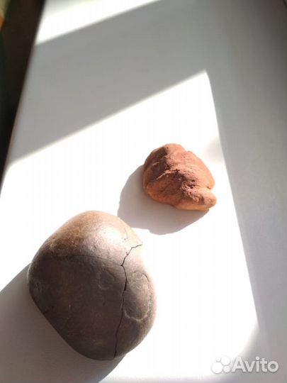 Окаменевший плод