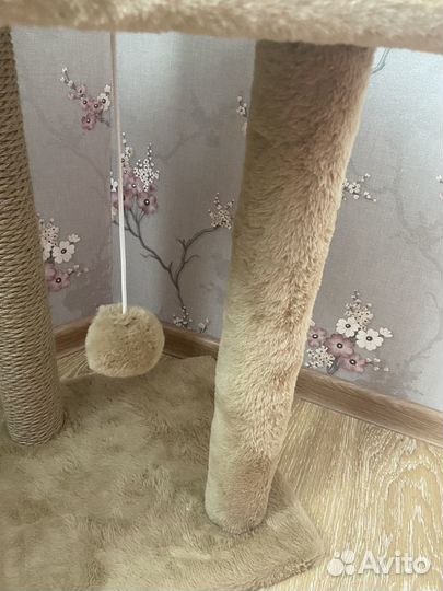 Когтеточка для кошек