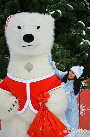 Дед мороз Медведь и снегурочка