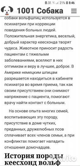 Щенки Кеесхонда (вольф шпиц)