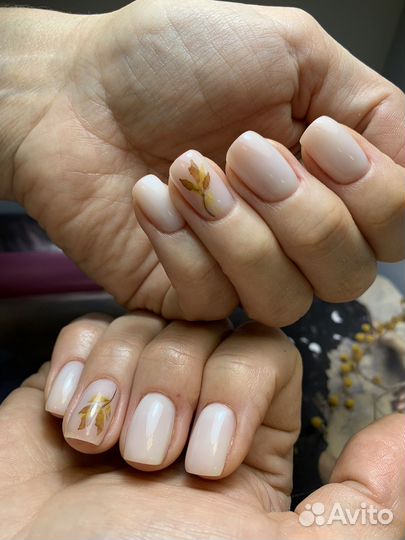 Модель на маникюр бесплатно