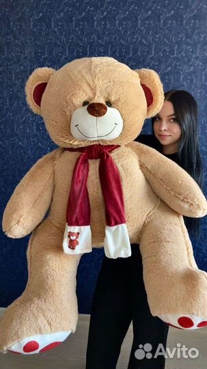 Плюшевые мишки от 90см до 240см
