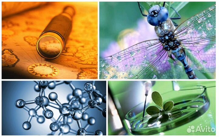 Репетитор по географии,химии, биологии