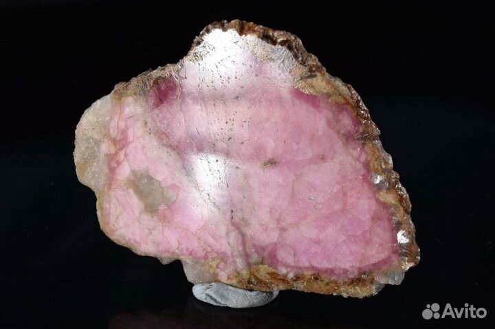 Турмалин. Полированный срез. Лот №201