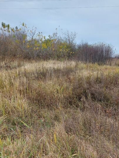 Участок 25 сот. (ИЖС)