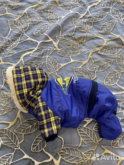 Одежда для собак Джек Рассел