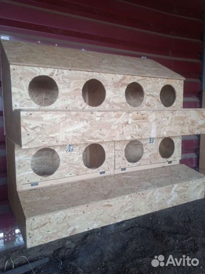 Гнездо для кур с яйцесборником