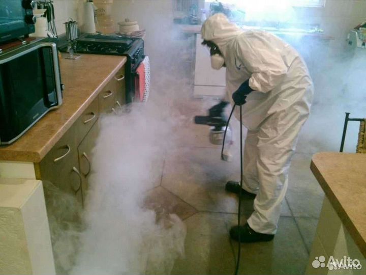 Уничтожение плесени и неприятных запахов