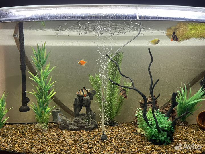 Аквариум aquael 200 литров с фильтром