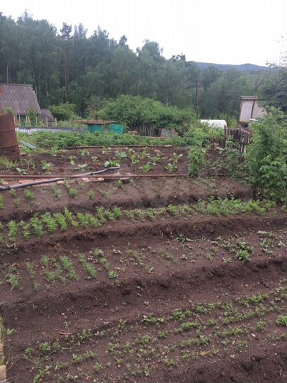 Дача 26,6 м² на участке 8,2 сот.