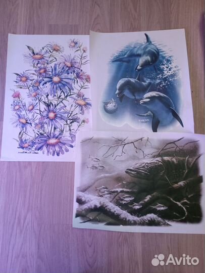 Термонаклейки на одежду