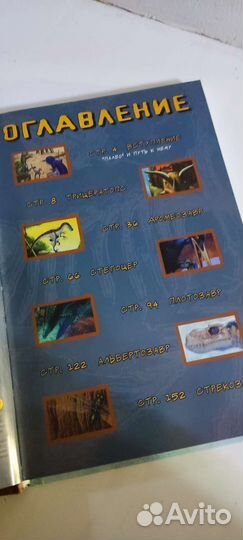 Палео. Комикс