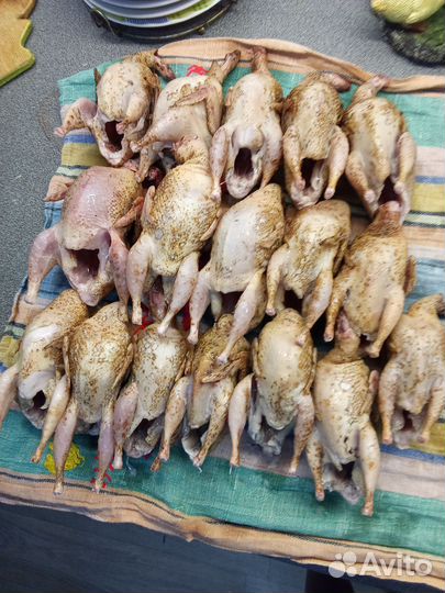 Домашнее мясо перепела,бройлера